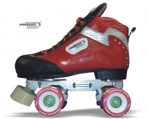 Manufacturers Exporters and Wholesale Suppliers of Proskate Perfect Orion B Karnal Haryana